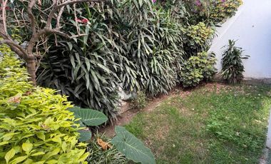 Casa en Renta en Colonia Del Valle Centro