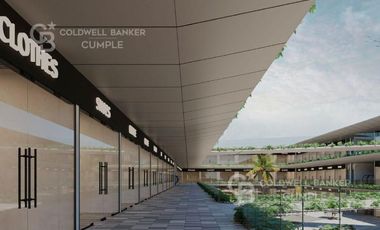 Locales en Preventa en Dorado Center, Boca del Río