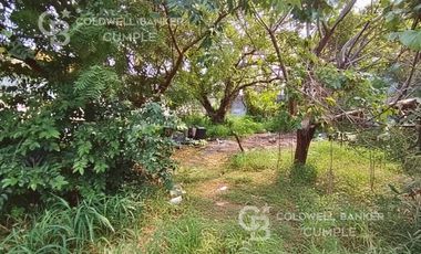 Local Terreno en Renta en Av. Díaz Mirón y Armada