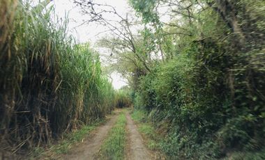 Venta terreno Guayllabamba, vista privilegiada con escrituras individuales