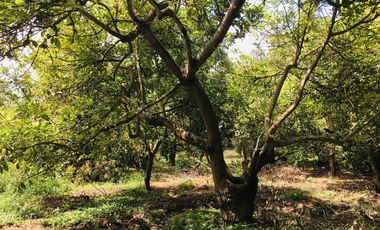 Venta terreno Guayllabamba, 1074 m2 cerca al zoológico