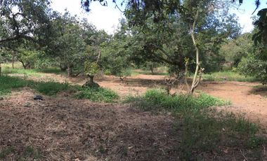 Venta terreno Guayllabamba, 1074 m2 cerca al zoológico