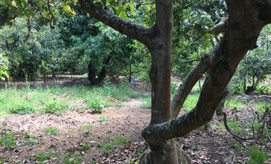 Venta terreno Guayllabamba, 1074 m2 cerca al zoológico