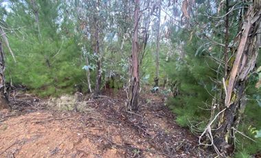 Hermosa parcela en Pichilemu sector La Palmilla