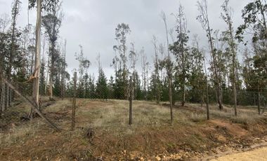 Hermosa parcela en Pichilemu sector La Palmilla