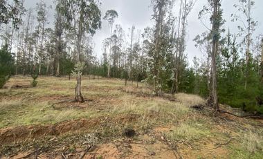 Hermosa parcela en Pichilemu sector La Palmilla