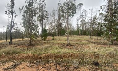 Hermosa parcela en Pichilemu sector La Palmilla