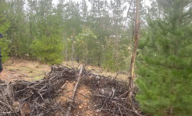 Hermosa parcela en Pichilemu sector La Palmilla