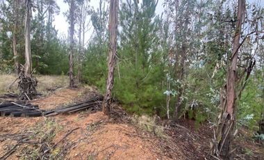 Hermosa parcela en Pichilemu sector La Palmilla