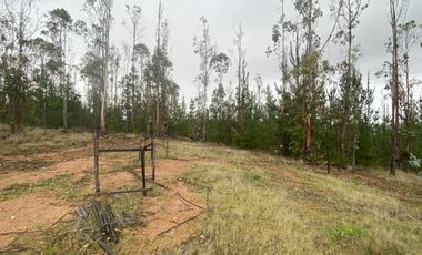 Hermosa parcela en Pichilemu sector La Palmilla