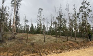 Hermosa parcela en Pichilemu sector La Palmilla