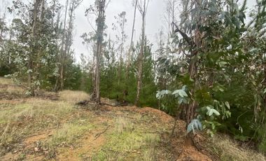 Hermosa parcela en Pichilemu sector La Palmilla