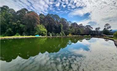 RENTA DE CASA EN SAN SIMON VALLE DE BRAVO