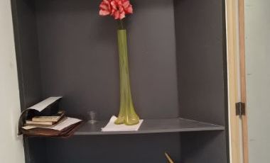 UNA SOLA PLANTA