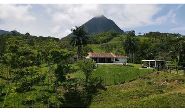 VENTA DE FINCA EN VENECIA SUROESTE ANTIOQUEÑO