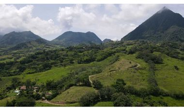 VENTA DE FINCA EN VENECIA SUROESTE ANTIOQUEÑO