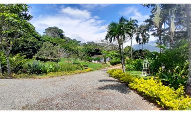 VENTA DE FINCA EN VENECIA SUROESTE ANTIOQUEÑO