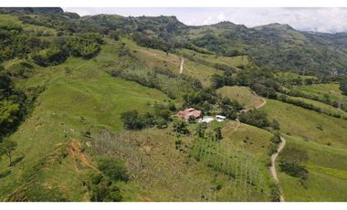 VENTA DE FINCA EN VENECIA SUROESTE ANTIOQUEÑO