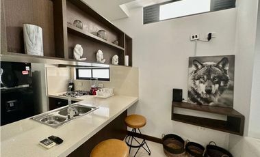 APARTAESTUDIO.AMOBLADO EN ARRIENDO. EXCELENTE UBICACION