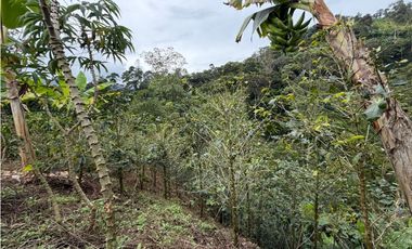 Espaciosa finca mixta en venta Andes - Vía Jardín (JS)