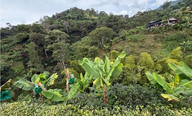 Espaciosa finca mixta en venta Andes - Vía Jardín (JS)