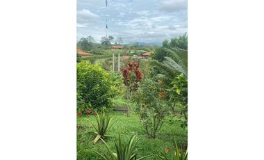 SE VENDE ESPECTACULAR FINCA EN ALCAL