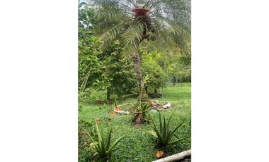 SE VENDE ESPECTACULAR FINCA EN ALCAL