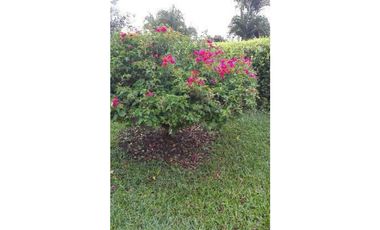 SE VENDE ESPECTACULAR FINCA EN ALCAL