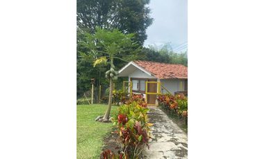SE VENDE ESPECTACULAR FINCA EN ALCAL
