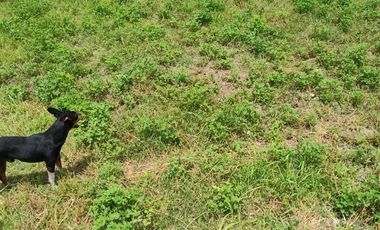 ZUÑIGA A 10 MINUTOS  DE SAN VICENTE