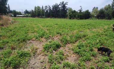 ZUÑIGA A 10 MINUTOS  DE SAN VICENTE