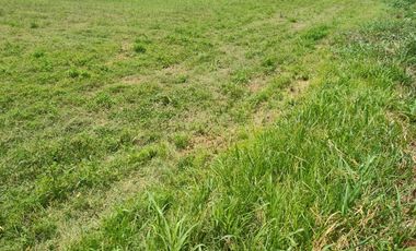 ZUÑIGA A 10 MINUTOS  DE SAN VICENTE