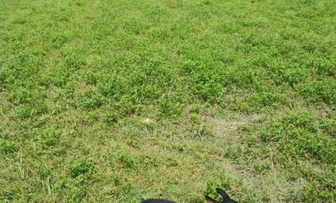 ZUÑIGA A 10 MINUTOS  DE SAN VICENTE