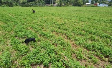 ZUÑIGA A 10 MINUTOS  DE SAN VICENTE