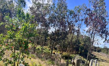 Parcela en venta en PUERTO MONTT