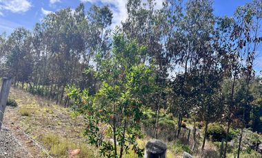 Parcela en venta en PUERTO MONTT