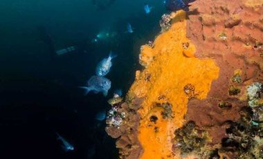 Casa en venta en LA LIGUA