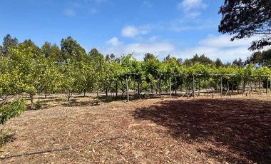 Casa en venta en LA LIGUA
