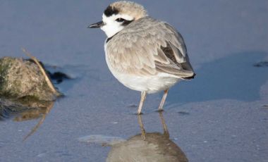 Casa en venta en LA LIGUA