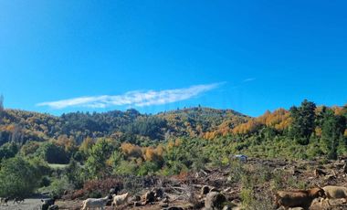 Parcela en venta en LINARES