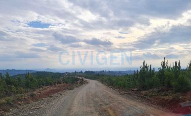 Parcela en venta en LINARES