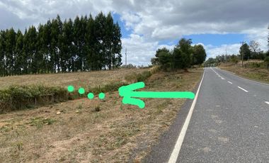 VENTA DE PARCELA AGRICOLA EN LAUTARO 5000 MTRS2 TEMUCO