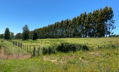 VENTA DE PARCELA AGRICOLA EN LAUTARO 5000 MTRS2 TEMUCO