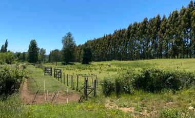 VENTA DE PARCELA AGRICOLA EN LAUTARO 5000 MTRS2 TEMUCO