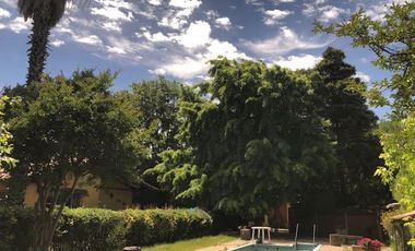 Agrícola En Venta En Rengocon Casa Patronal , Bodegas