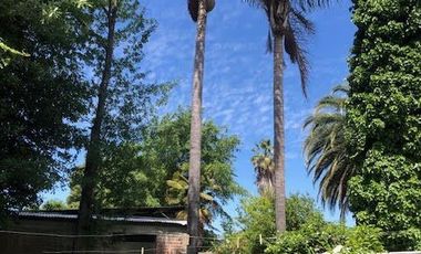 Agrícola En Venta En Rengocon Casa Patronal , Bodegas