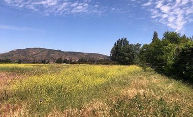 Agrícola En Venta En Rengocon Casa Patronal , Bodegas