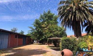 Agrícola En Venta En Rengocon Casa Patronal , Bodegas