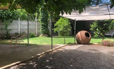 Agrícola En Venta En Rengocon Casa Patronal , Bodegas