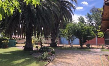 Agrícola En Venta En Rengocon Casa Patronal , Bodegas